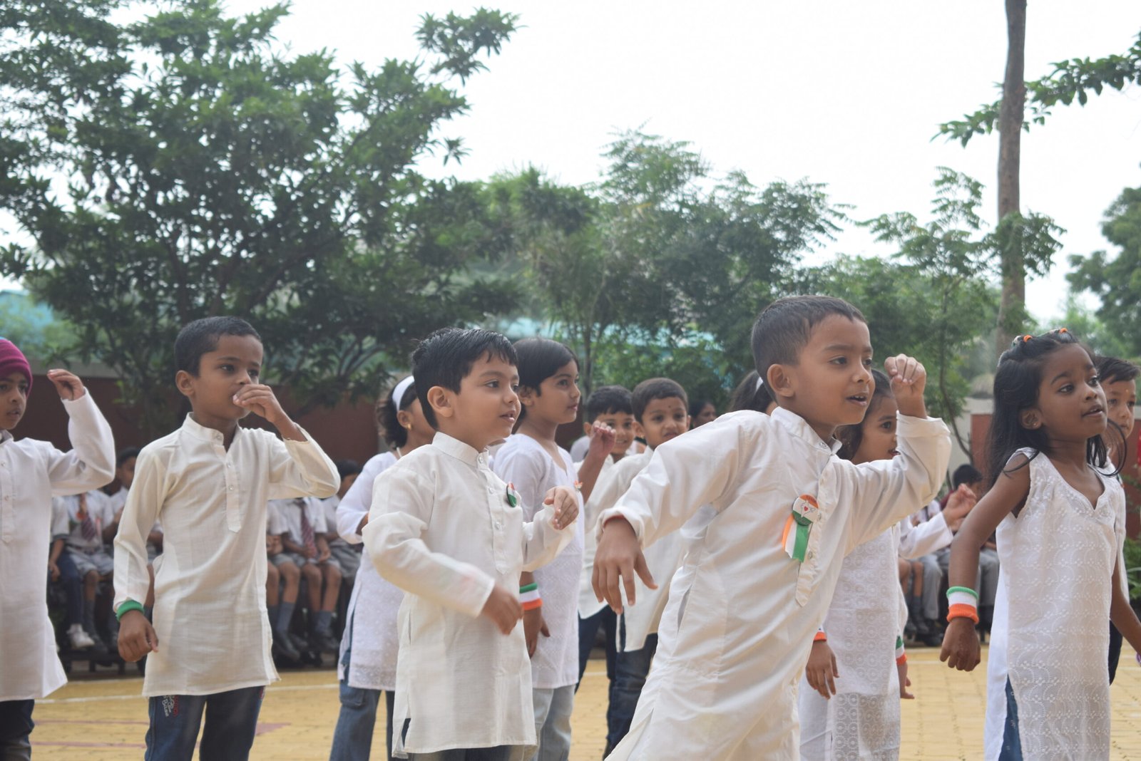 Independence Day Celebration